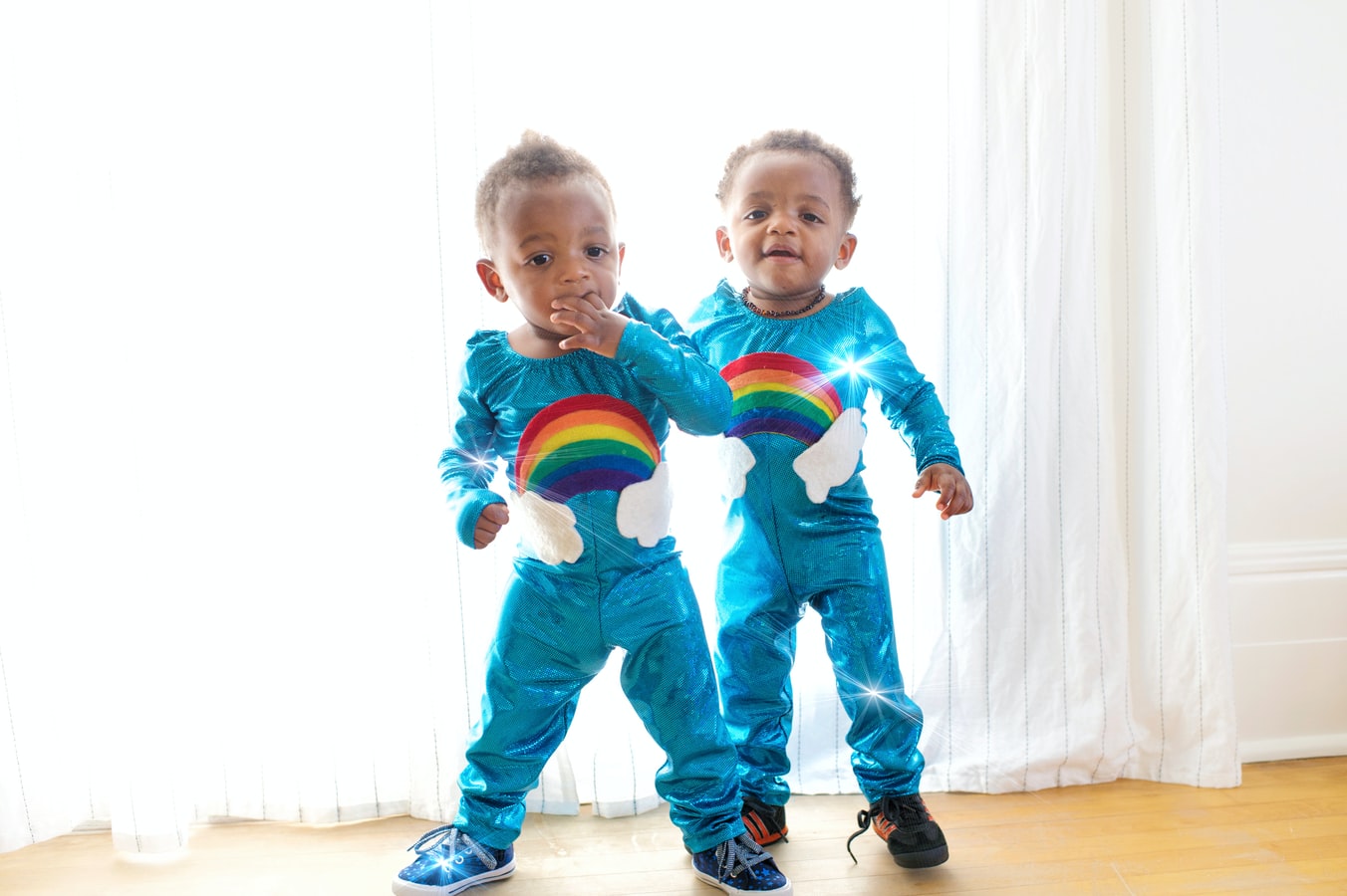 Les jumeaux